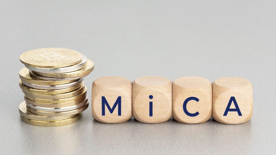 mica.jpg