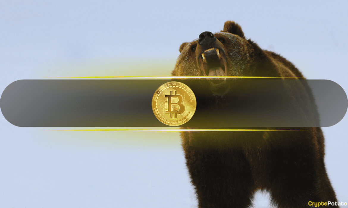 btc_bear_cover.png