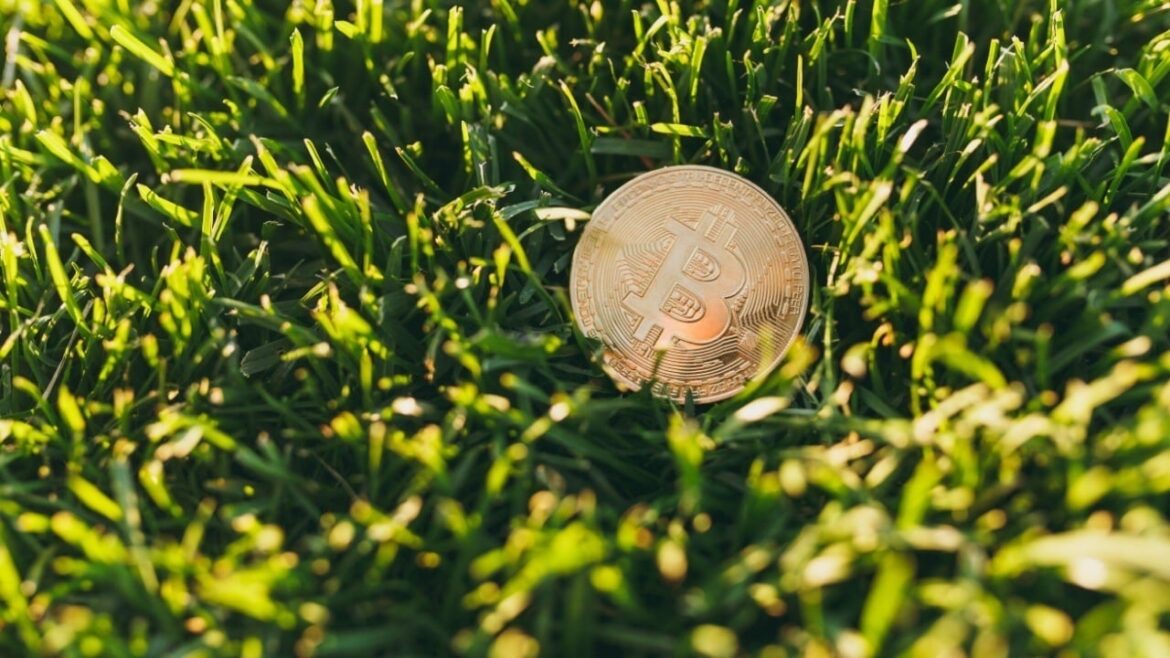 btc_grass.jpg