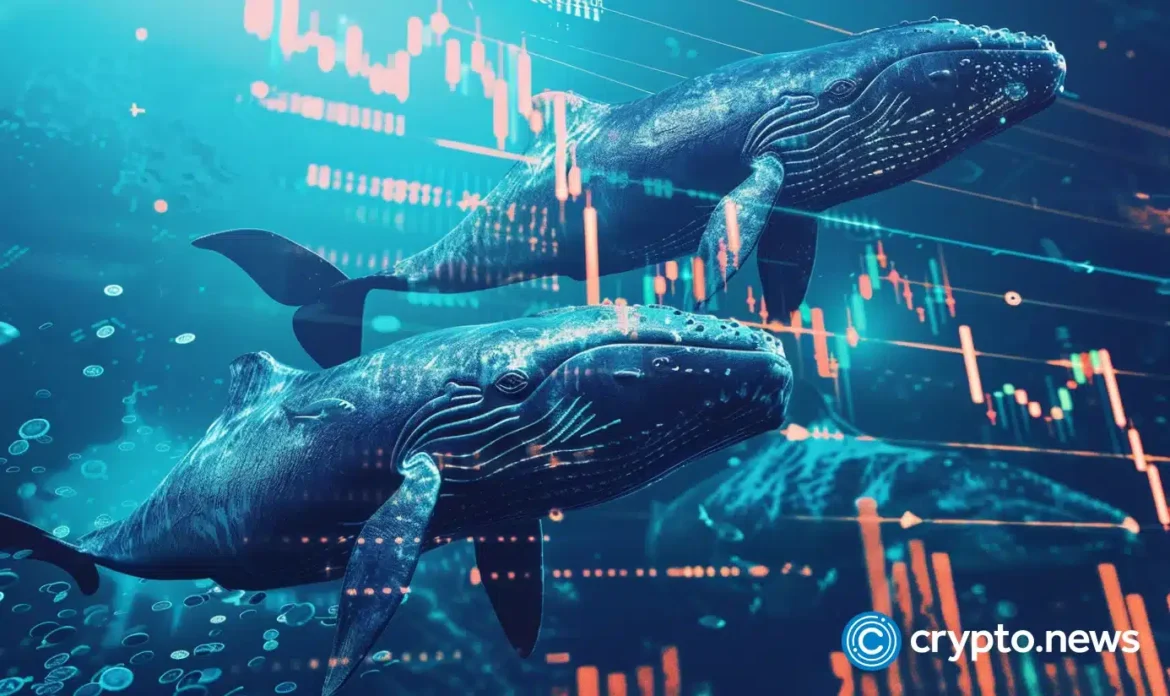 crypto-news-whale-option03.webp.webp